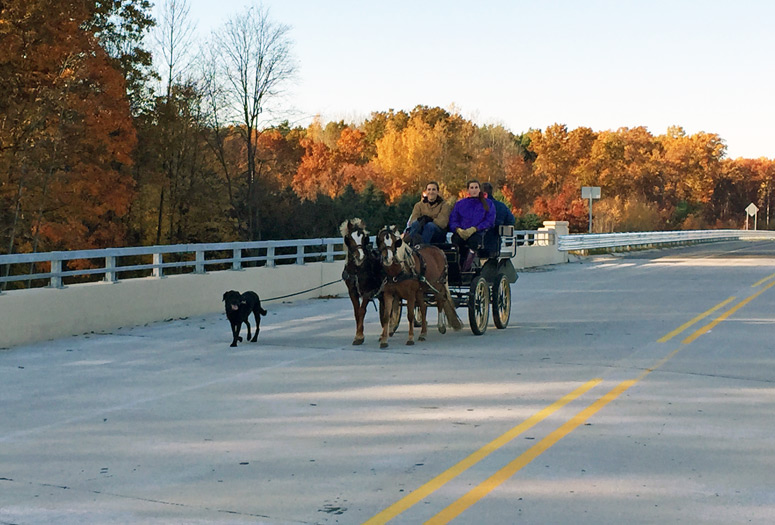 This group traveled the new M-231 in a unique way—in a small carriage hitched to a pair of miniature horses!