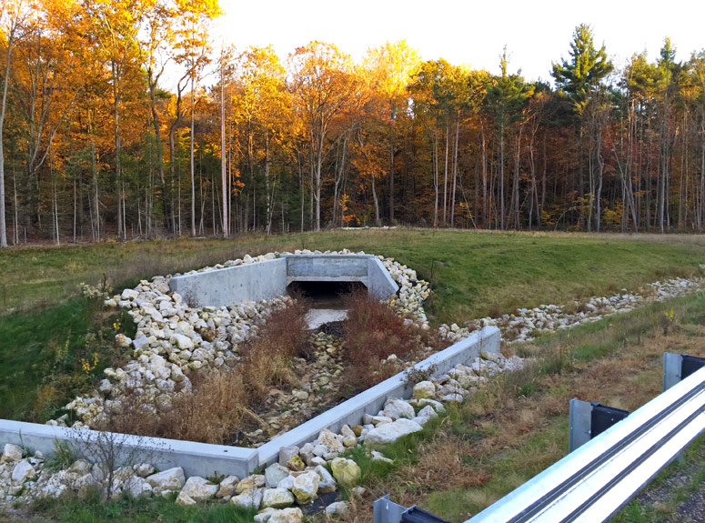 This M-231 stream crossing between Johnson St and Lincoln St, MDOT had two box culverts constructed.